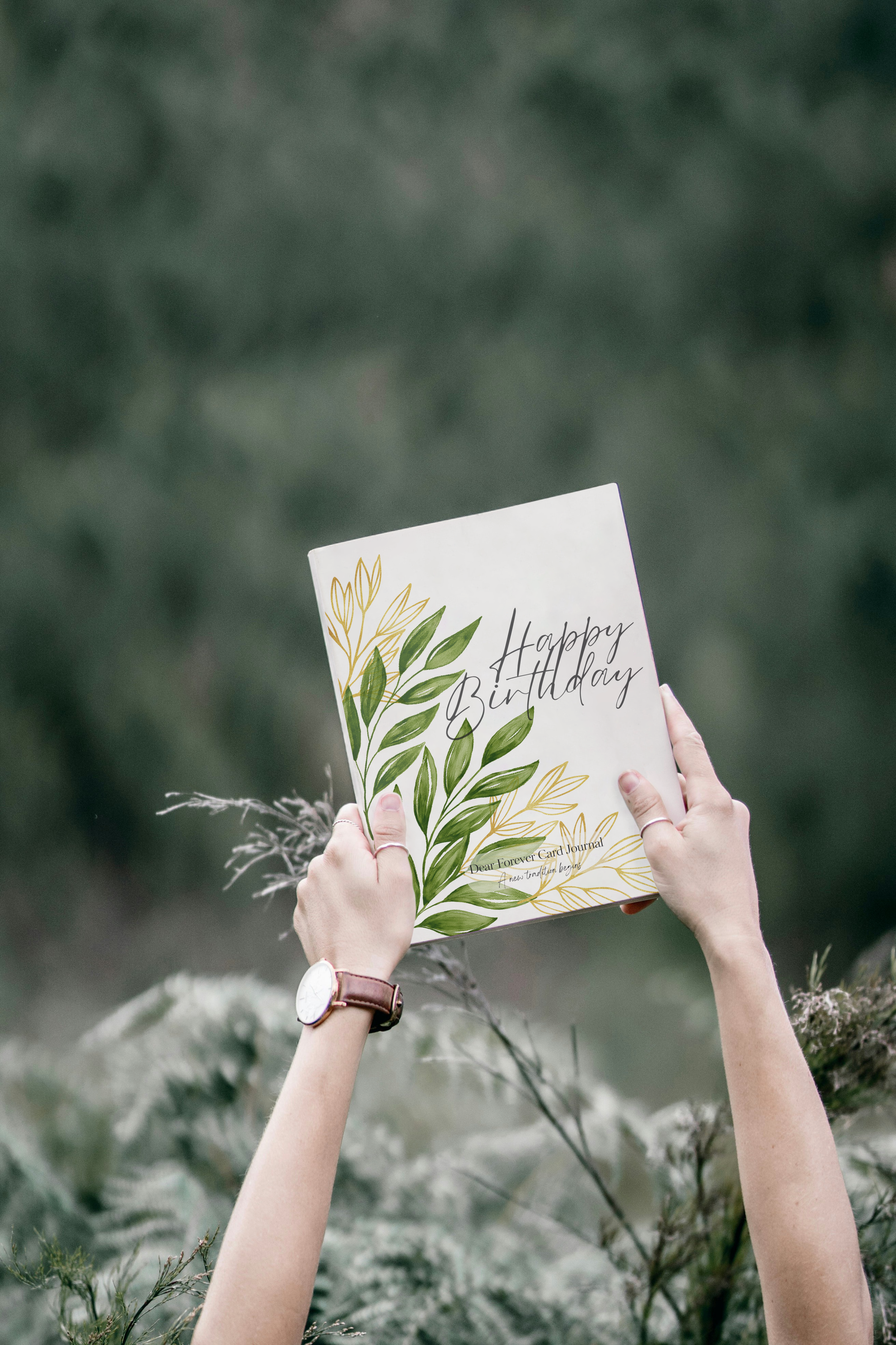 🎂 Birthday Edition - Fern